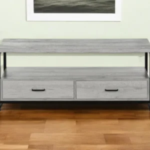 Gray Cabinet Enclosed Storage TV Stand By Homeroots | TV Stands | Modishstore - 1