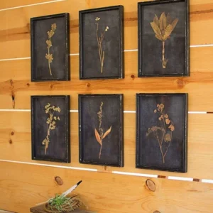 Botanical Prints Under Glass Set Of 6 By Kalalou | Wall Art | Modishstore