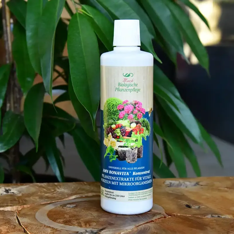 Bio Pflanzenextrakt: Anti-Schimmel & Pro-Wurzel 500ml